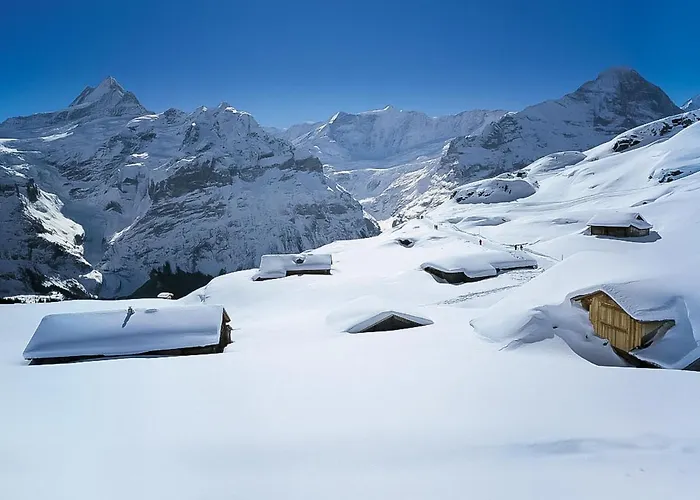 Abendrot Apartments-9 By Interhome Apartmán Grindelwald